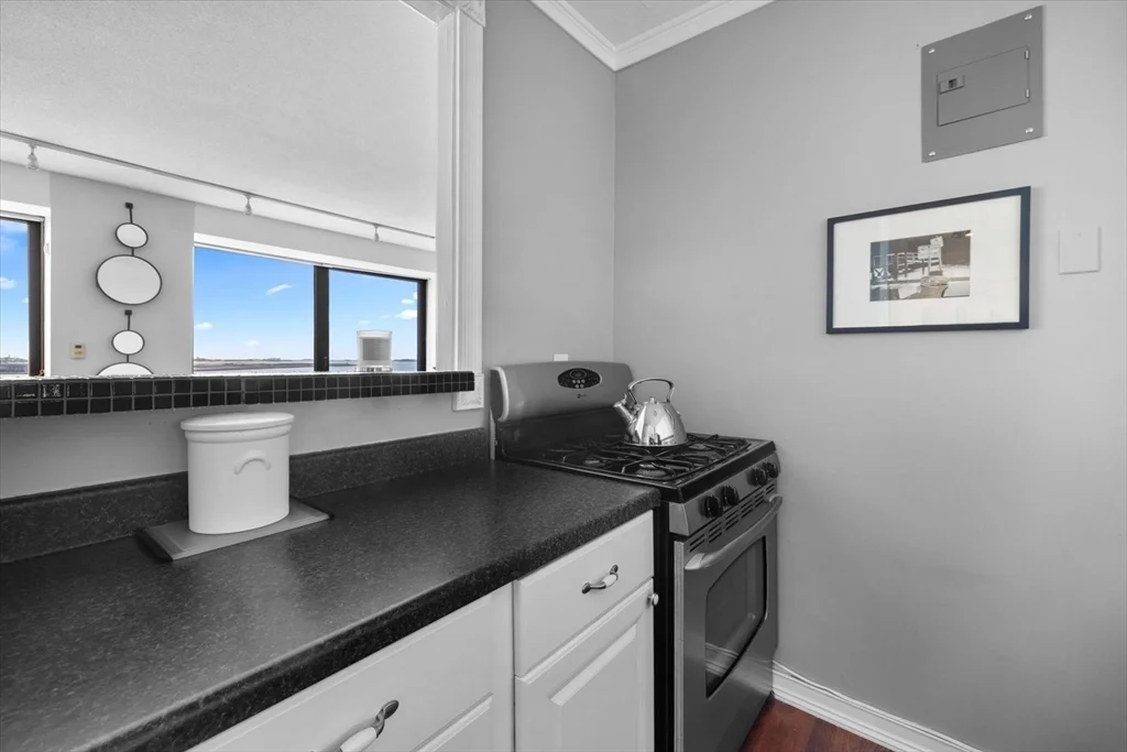 1 bed, 1 bath apartment for rent at 65 East India Row Unit 16E, Waterfront — photo 7 of 22