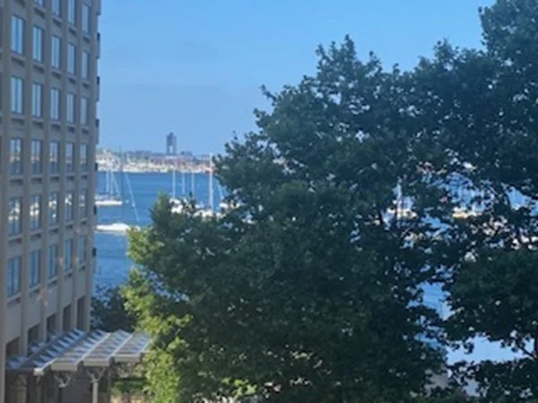 2 bed, 1.5 bath apartment for rent at 65 East India Row Unit 4C, Boston Downtown — photo 4 of 15