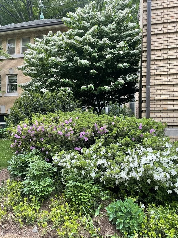 2 bed, 2 bath apartment for rent at 65 Glen Rd Unit H2, Brookline Village — photo 34 of 34