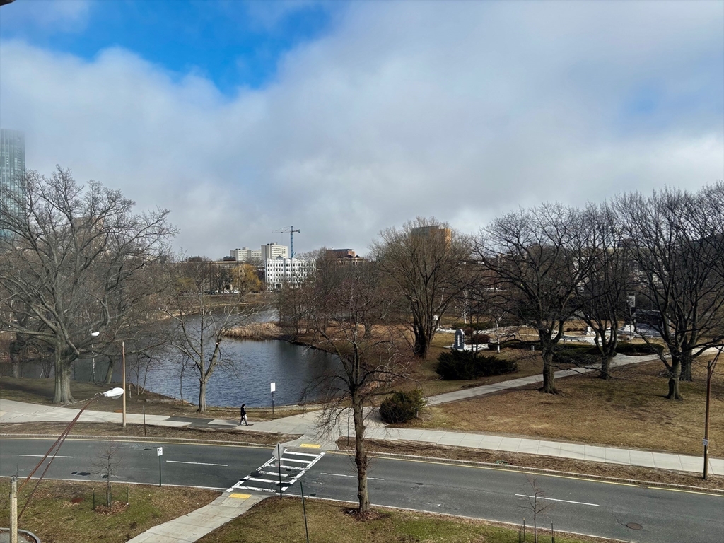 Studio bed, 1 bath apartment for rent at 65 Park Dr Unit 20, Fenway — photo 13 of 17
