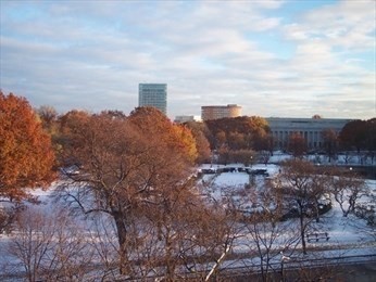 Studio bed, 1 bath apartment for rent at 65 Park Dr Unit 20, Fenway — photo 16 of 17