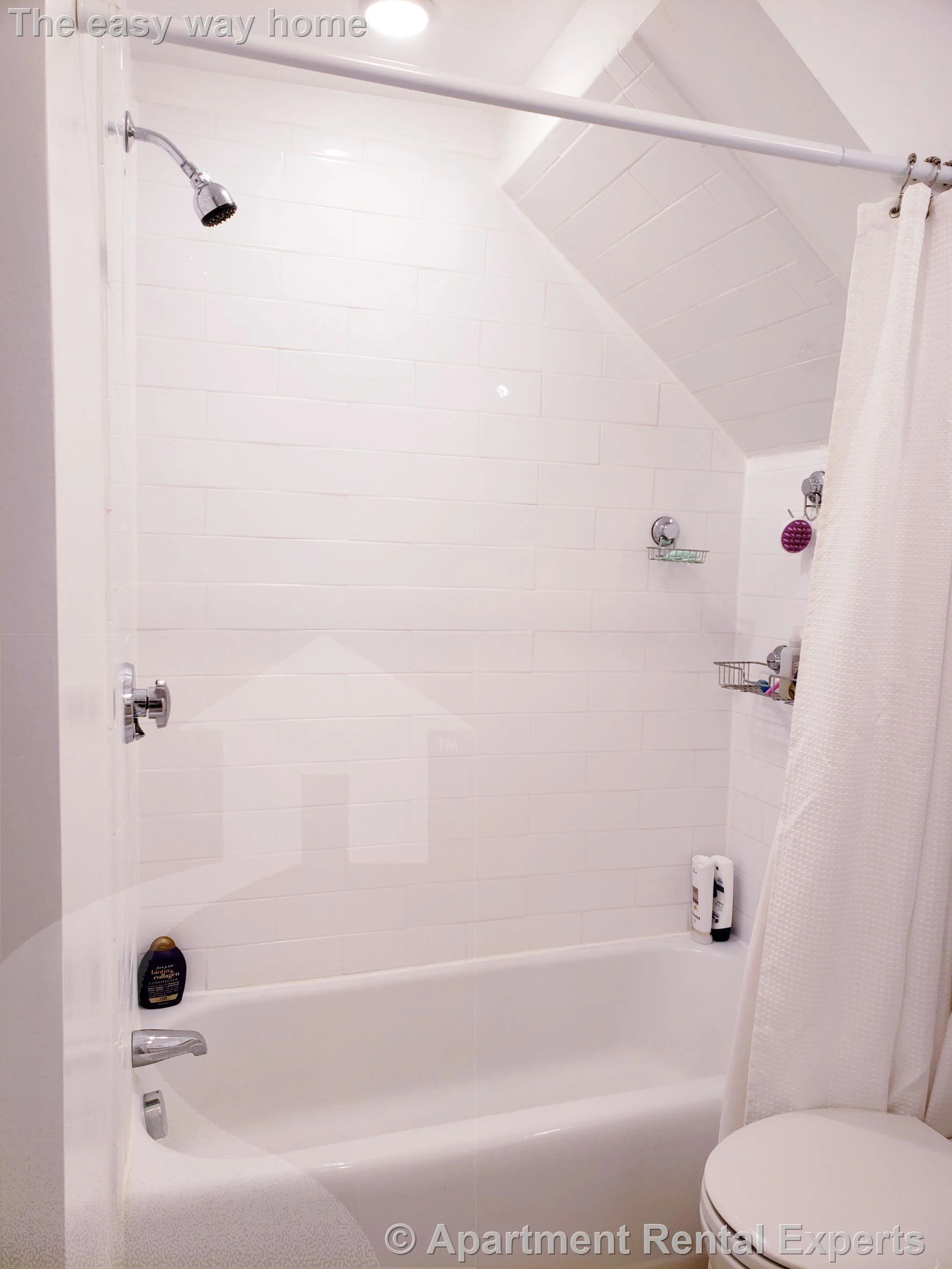 1 bed, 1 bath apartment for rent at 65 Walden St Unit 1F, Porter Square — photo 12 of 16