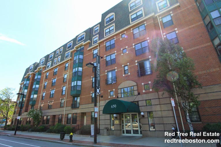 3 bed, 2 bath apartment for rent at 650 Columbus Ave Unit 112, South End — photo 4 of 4