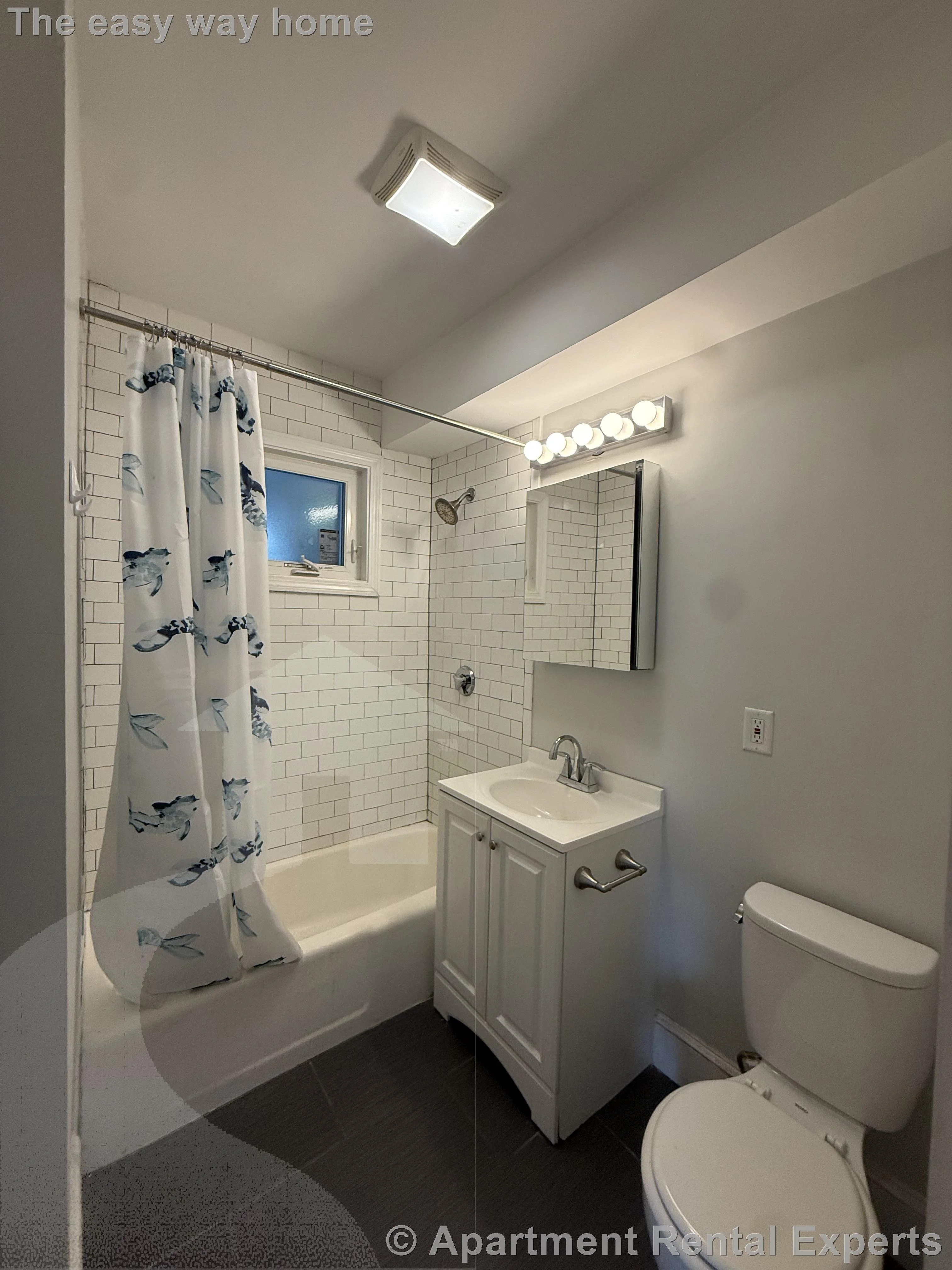 3 bed, 1 bath apartment for rent at 66 Beacon St Unit 3, Ward Two — photo 4 of 11