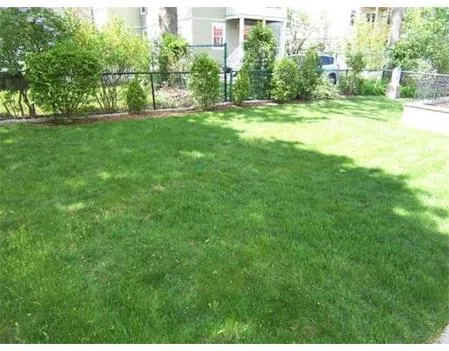 2.5 bed, 1 bath apartment for rent at 66 Brock St Unit 3, Oak Square — photo 21 of 21