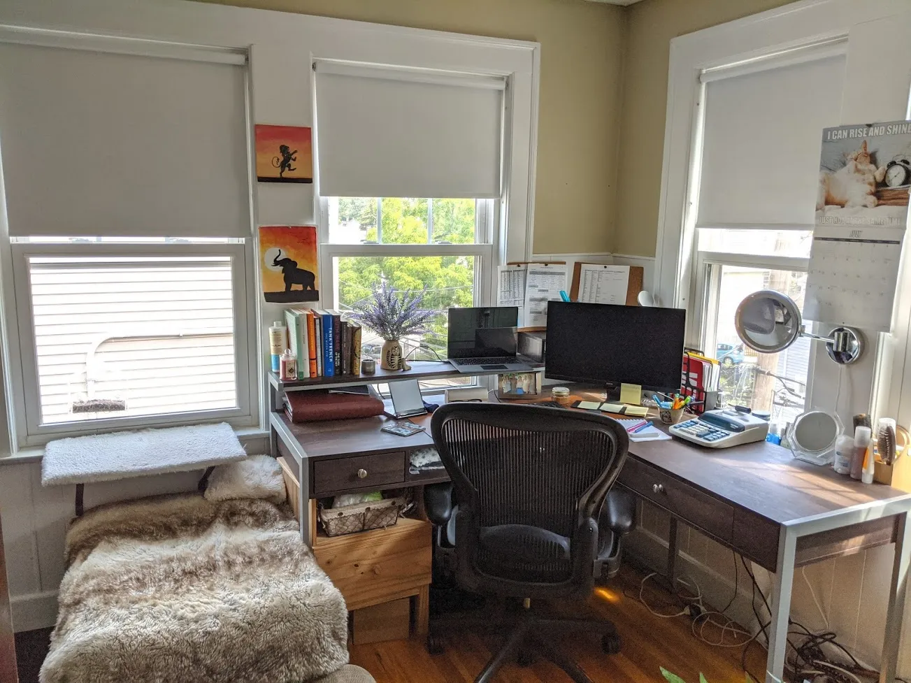 2.5 bed, 1 bath apartment for rent at 66 Brock St Unit 3, Oak Square — photo 5 of 21