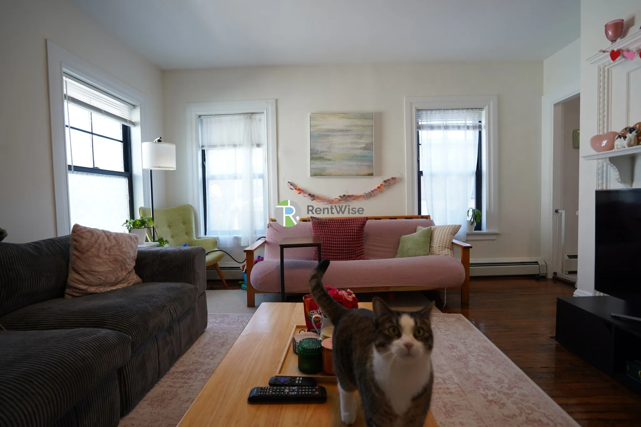 3 bed, 1 bath apartment for rent at 66 Chester St Unit 2, Allston — photo 2 of 21