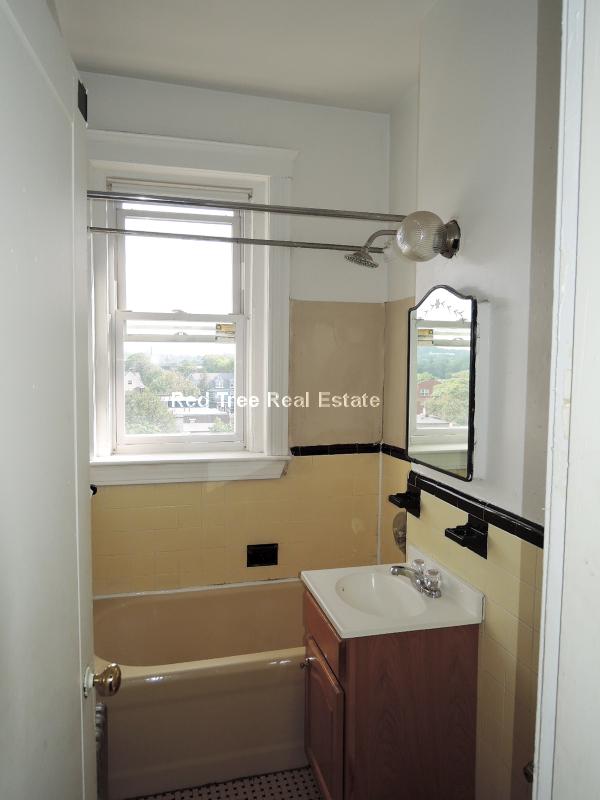 Studio bed, 1 bath apartment for rent at 66 Chiswick Rd Unit 27, Brighton — photo 4 of 24