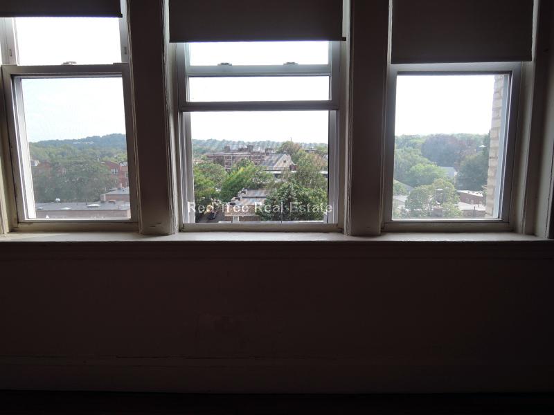 Studio bed, 1 bath apartment for rent at 66 Chiswick Rd Unit 27, Brighton — photo 11 of 24