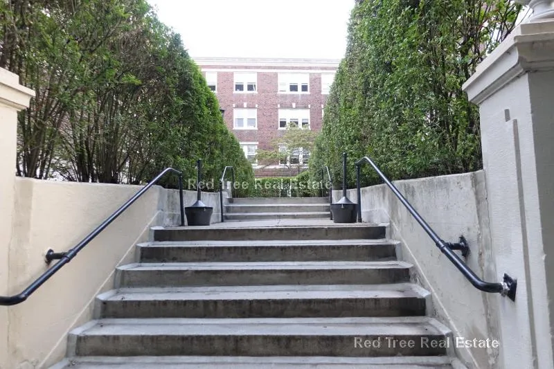 1 bed, 1 bath apartment for rent at 66 Chiswick Rd Unit 4, Brighton — photo 20 of 23