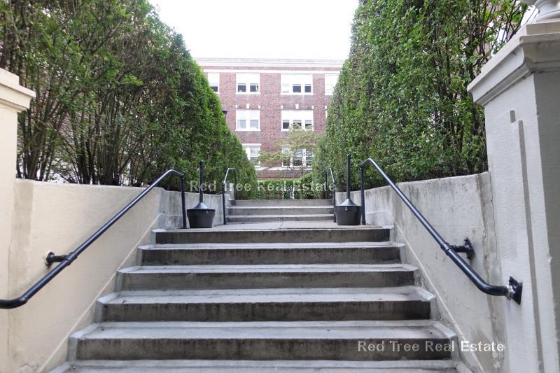 Studio bed, 1 bath apartment for rent at 66 Chiswick Rd Unit 6, Brighton — photo 14 of 17
