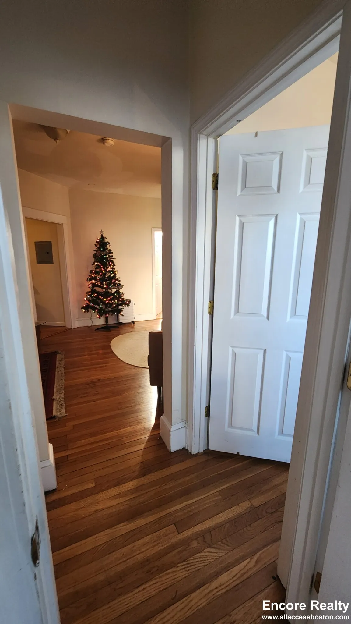 4 bed, 1 bath apartment for rent at 66 Egmont St Unit 66-5, North Brookline — photo 7 of 21