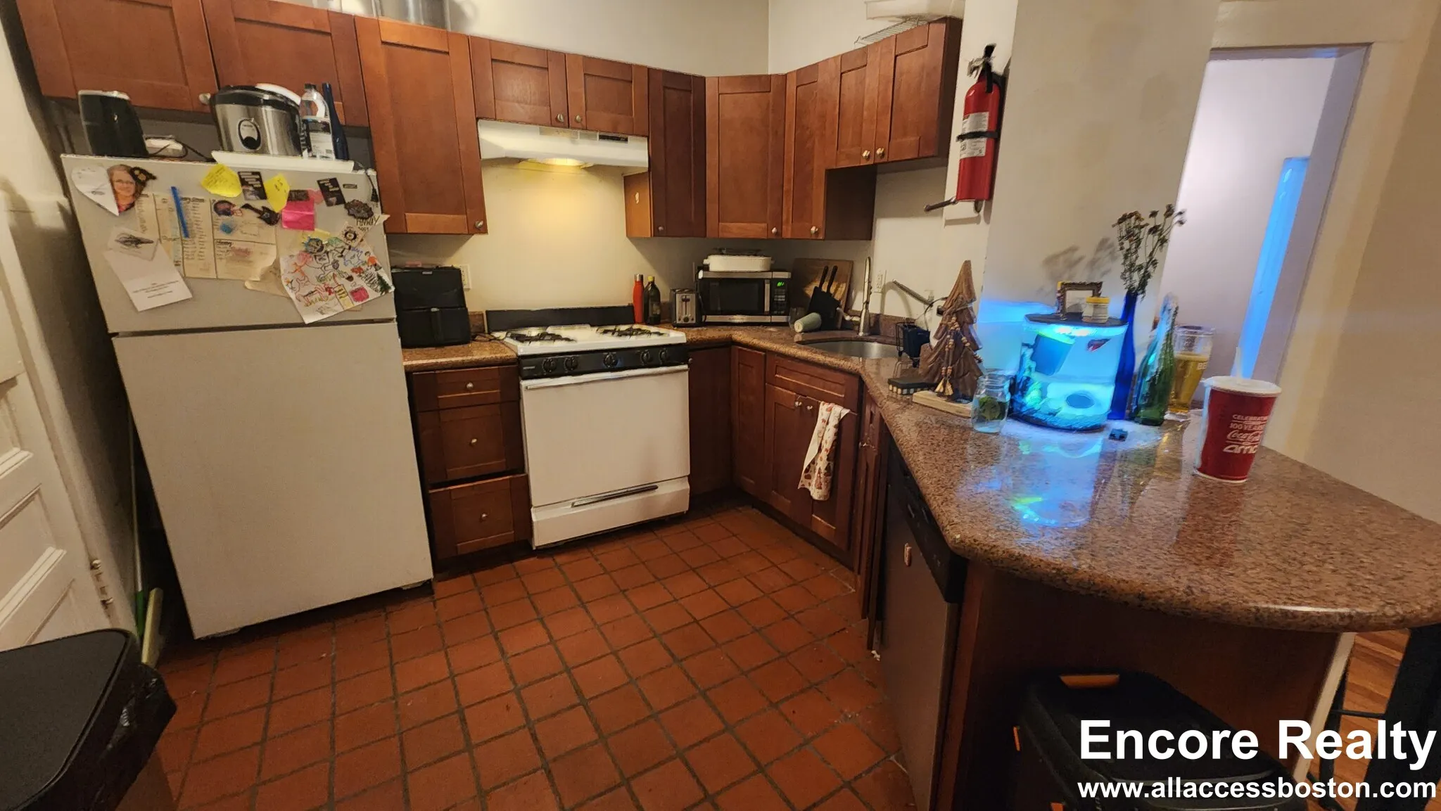 4 bed, 1 bath apartment for rent at 66 Egmont St Unit 66-5, North Brookline
