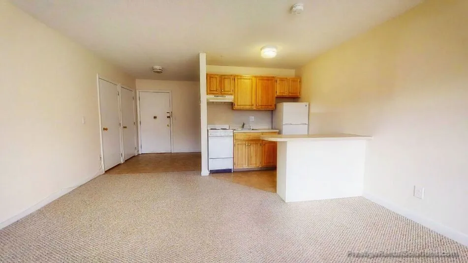 1 bed, 1 bath apartment for rent at 66 Homer Ave Unit 1, West Cambridge — photo 9 of 11