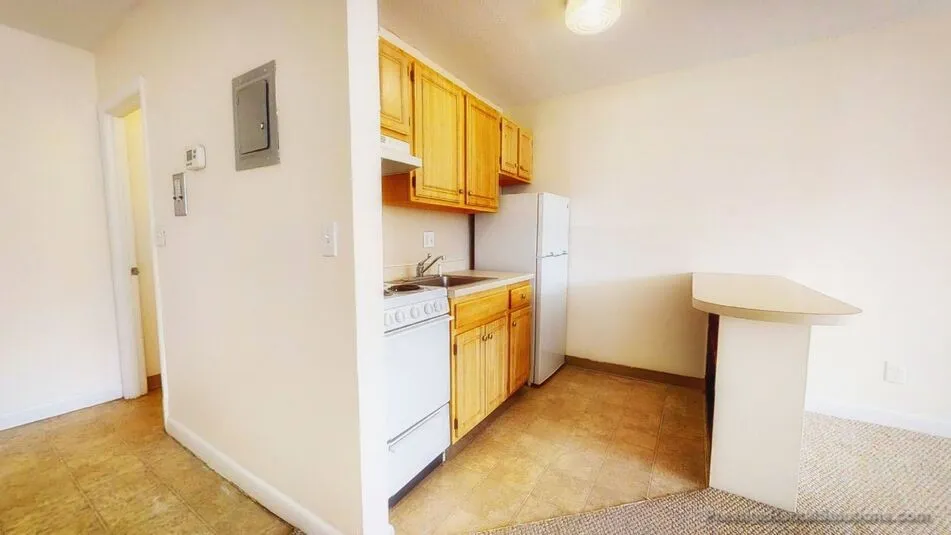 1 bed, 1 bath apartment for rent at 66 Homer Ave Unit 1, West Cambridge — photo 3 of 11
