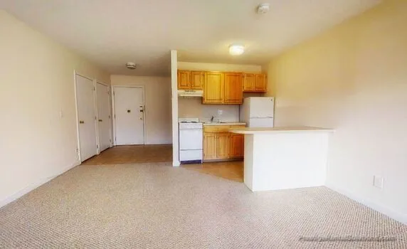 1 bed, 1 bath apartment for rent at 66 Homer Ave Unit 1, West Cambridge