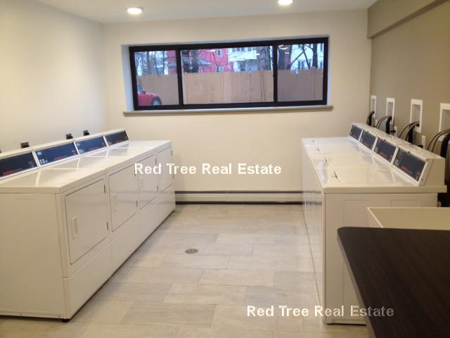 1 bed, 1 bath apartment for rent at 66 Homer Ave Unit 312, West Cambridge — photo 3 of 6