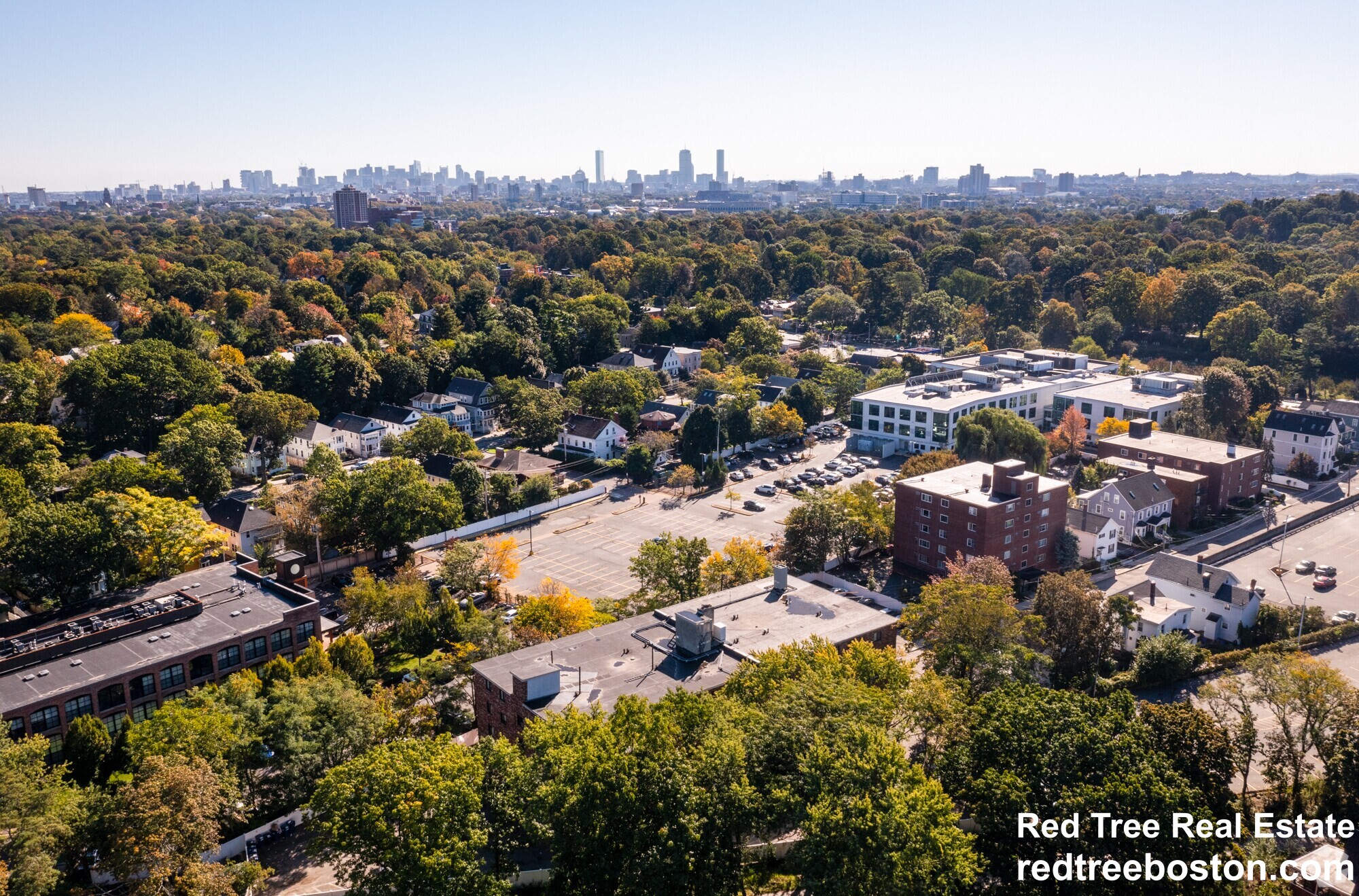 1 bed, 1 bath apartment for rent at 66 Homer Ave Unit 312, West Cambridge — photo 6 of 6