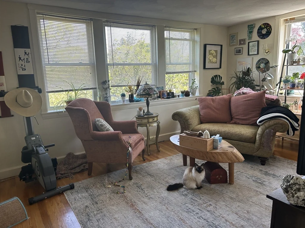 1 bed, 1 bath apartment for rent at 66 Lake Ave Unit 2-5, Melrose — photo 3 of 5
