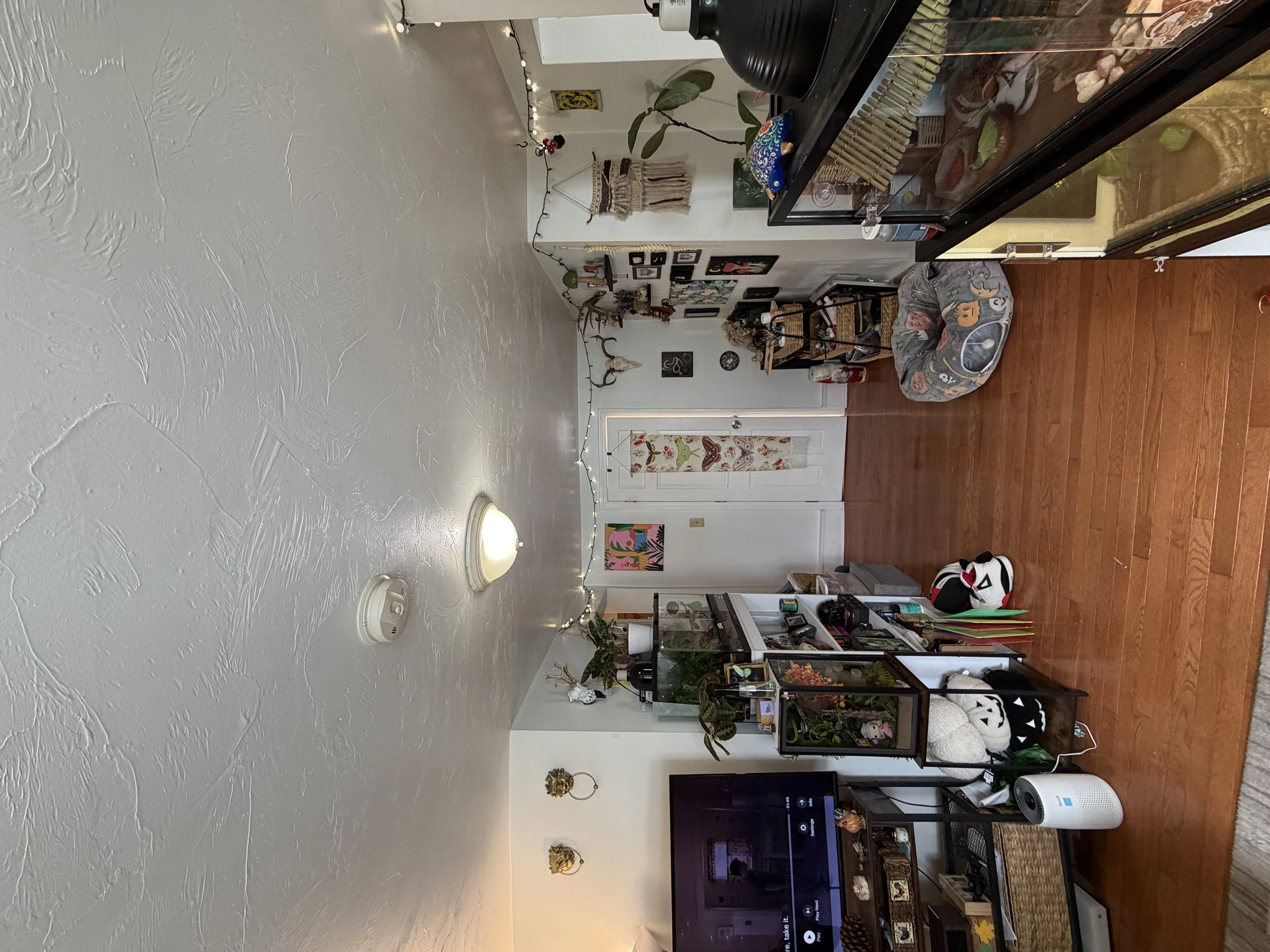 3 bed, 1 bath apartment for rent at 66 Pleasant St Unit 0, Quincy — photo 5 of 19