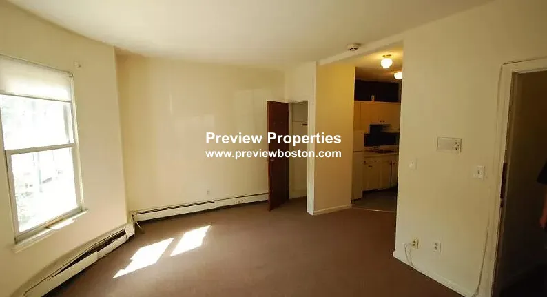 Studio bed, 1 bath apartment for rent at 66 South Huntington Ave Unit 1P, Jamaica Plain — photo 3 of 9