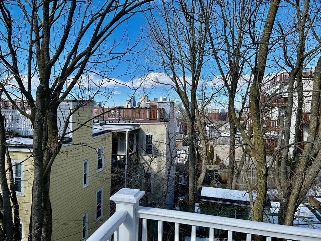 2 bed, 1 bath apartment for rent at 66 Telegraph St Unit 3, South Boston — photo 22 of 33