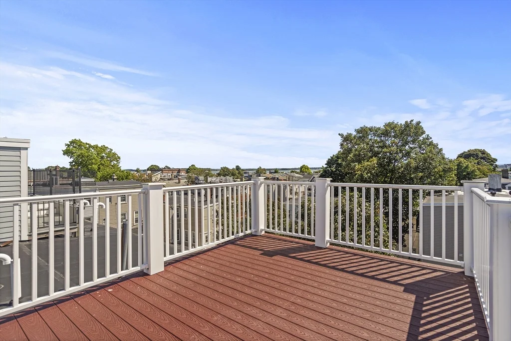 2 bed, 2 bath apartment for rent at 665 E 5th St Unit 2, South Boston — photo 19 of 23