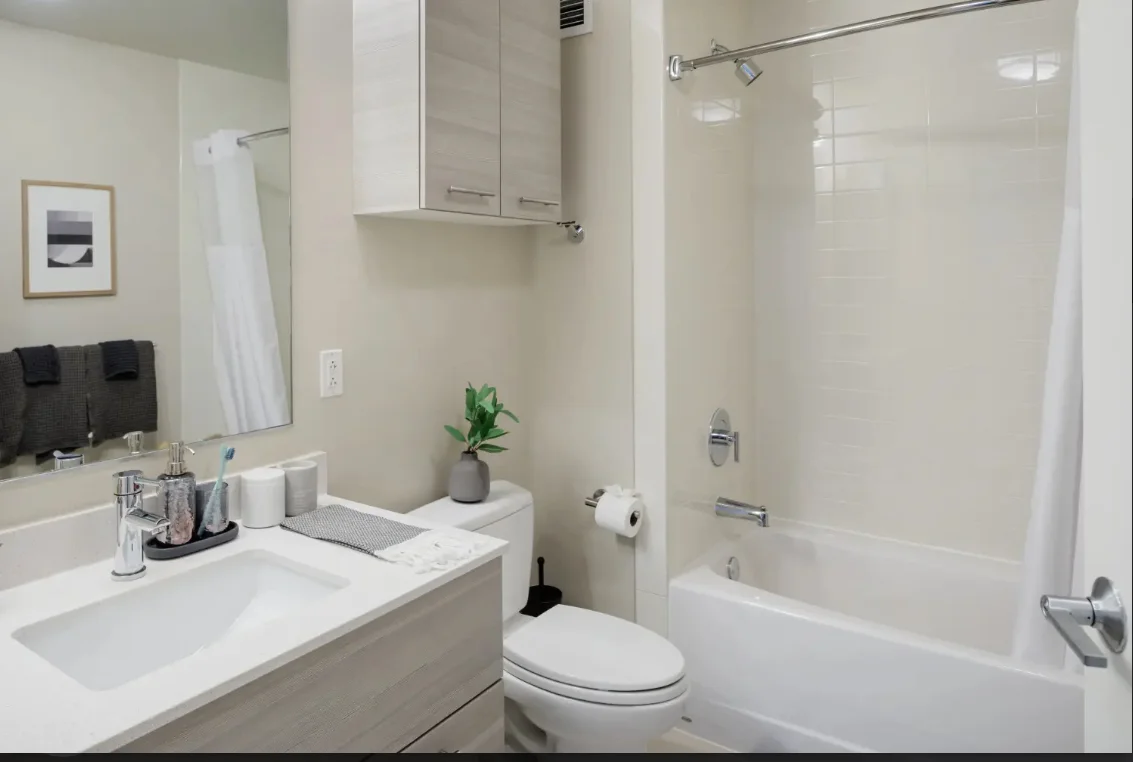 1 bed, 1 bath apartment for rent at 665 Washington St Unit 0808, Boston Downtown — photo 5 of 8