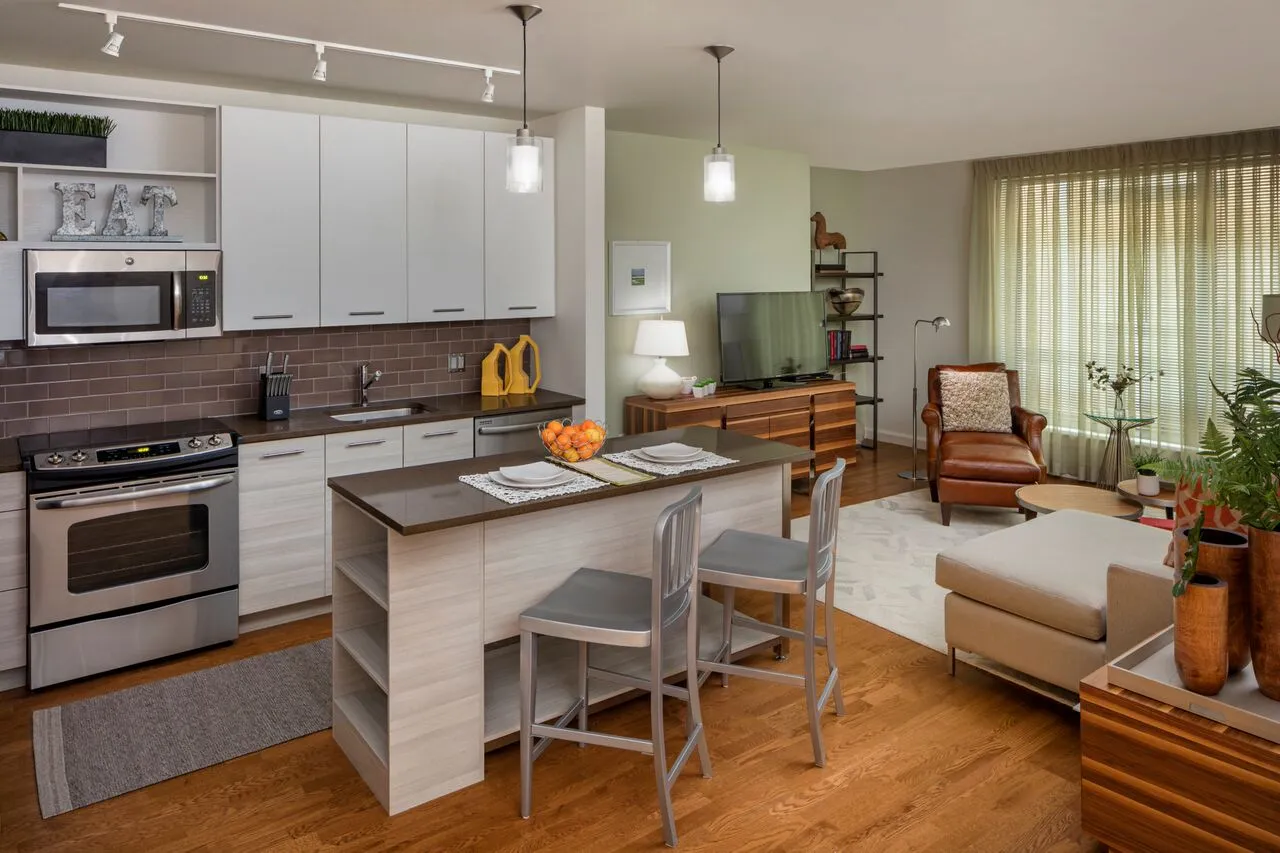 1 bed, 1 bath apartment for rent at 665 Washington St Unit 1008, Boston Downtown — photo 12 of 34