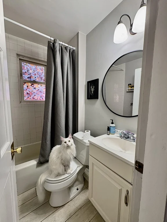 1 bed, 1 bath apartment for rent at 666 E 5th St Unit 1, South Boston — photo 6 of 11