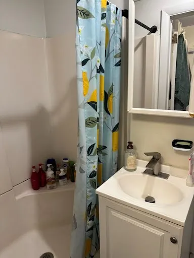 2 bed, 1 bath apartment for rent at 67 Gore St Unit 1R, East Cambridge — photo 9 of 38