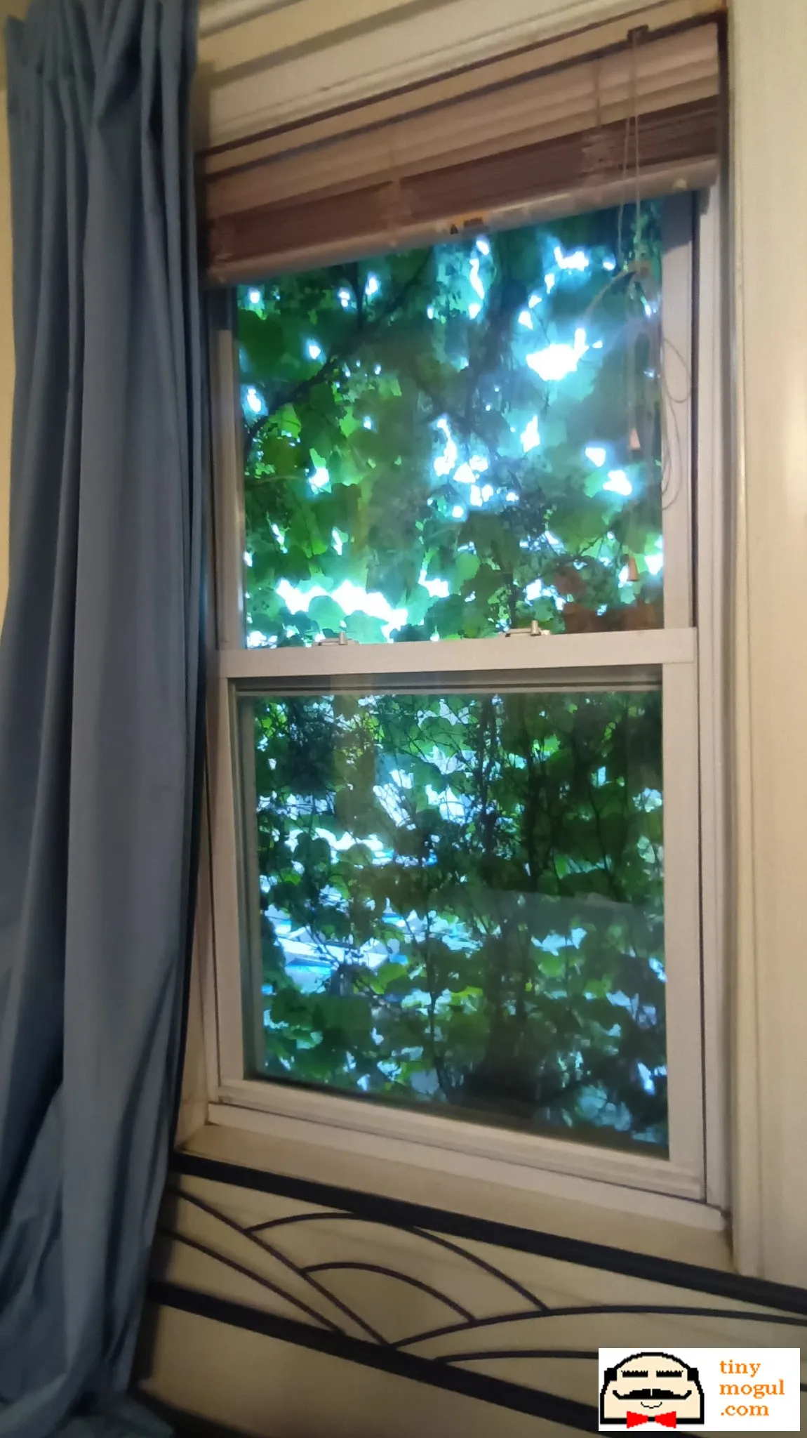 2 bed, 1 bath apartment for rent at 67 Gore St Unit 1R, East Cambridge — photo 34 of 38