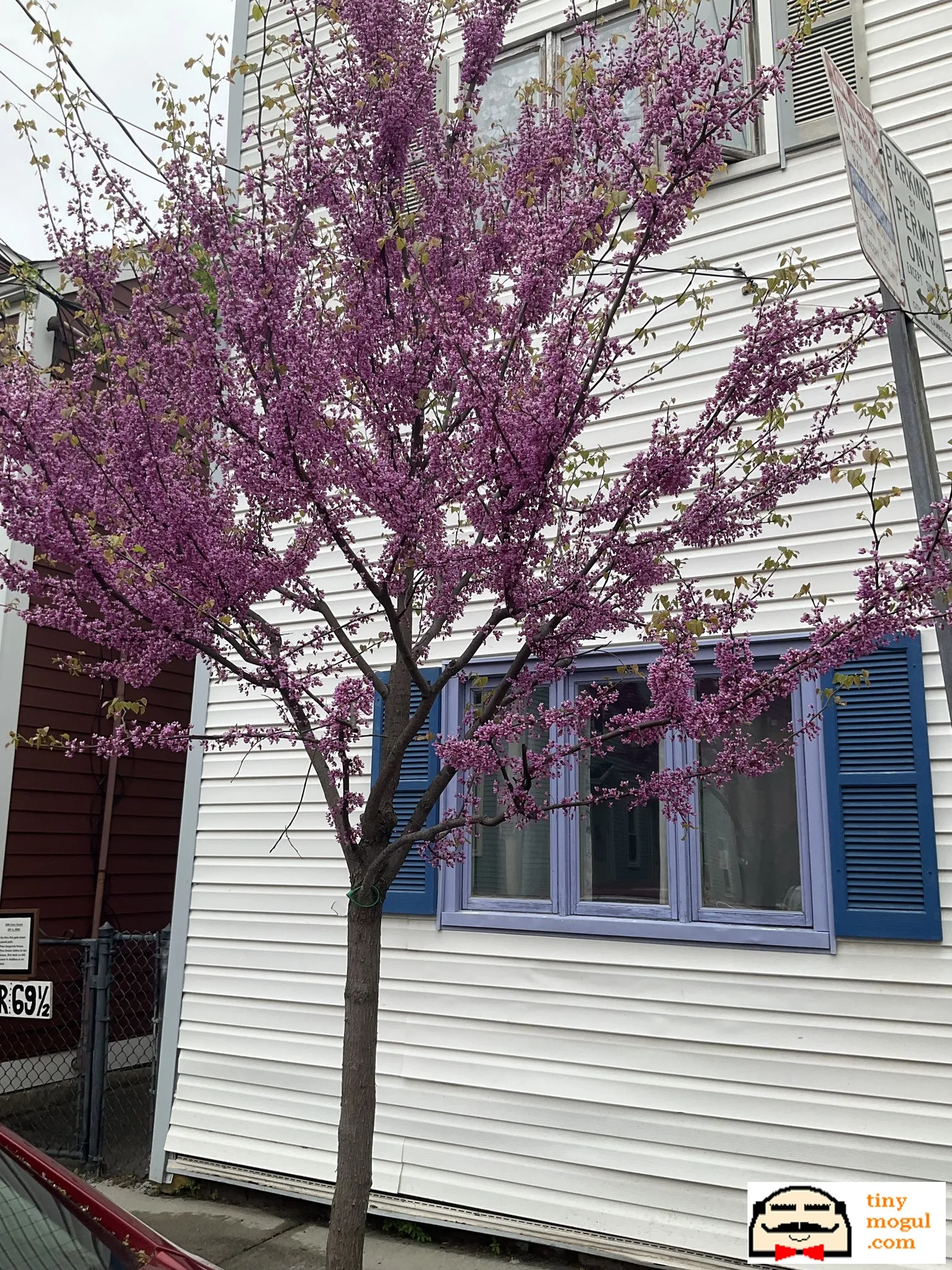 3 bed, 1 bath apartment for rent at 67 Gore St Unit 2F, East Cambridge — photo 30 of 31