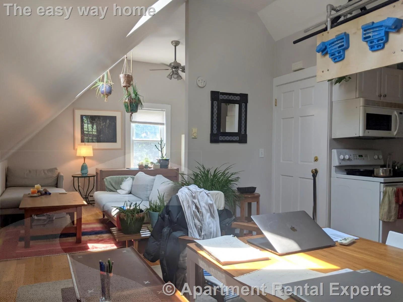 1 bed, 1 bath apartment for rent at 67 Hudson St Unit 3, Spring Hill