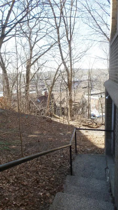 1 bed, 1 bath apartment for rent at 67 Nottinghill Rd Unit 8, Brighton — photo 22 of 23