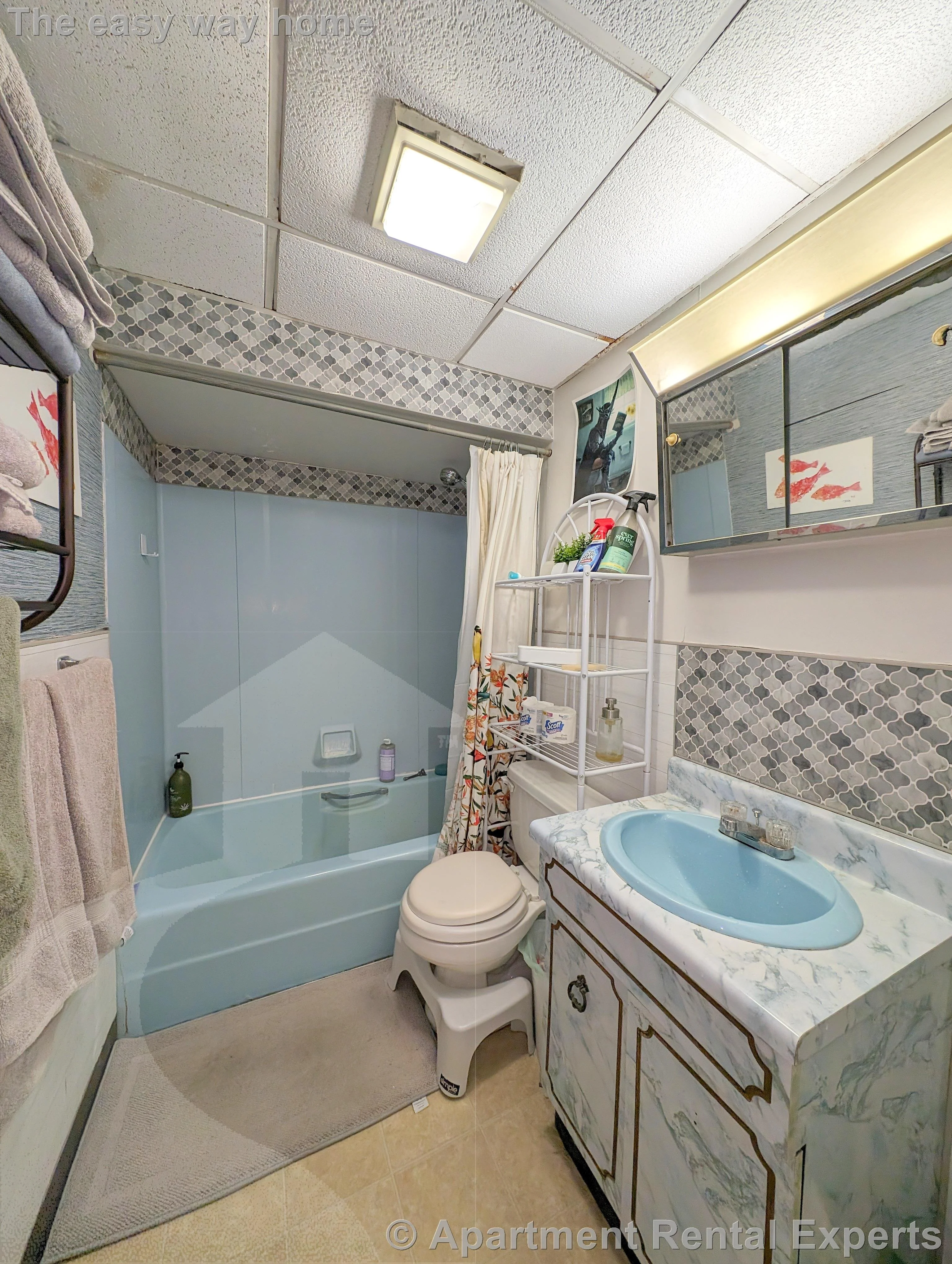 1 bed, 1 bath apartment for rent at 67 Putnam St Unit 5, Prospect Hill — photo 6 of 10