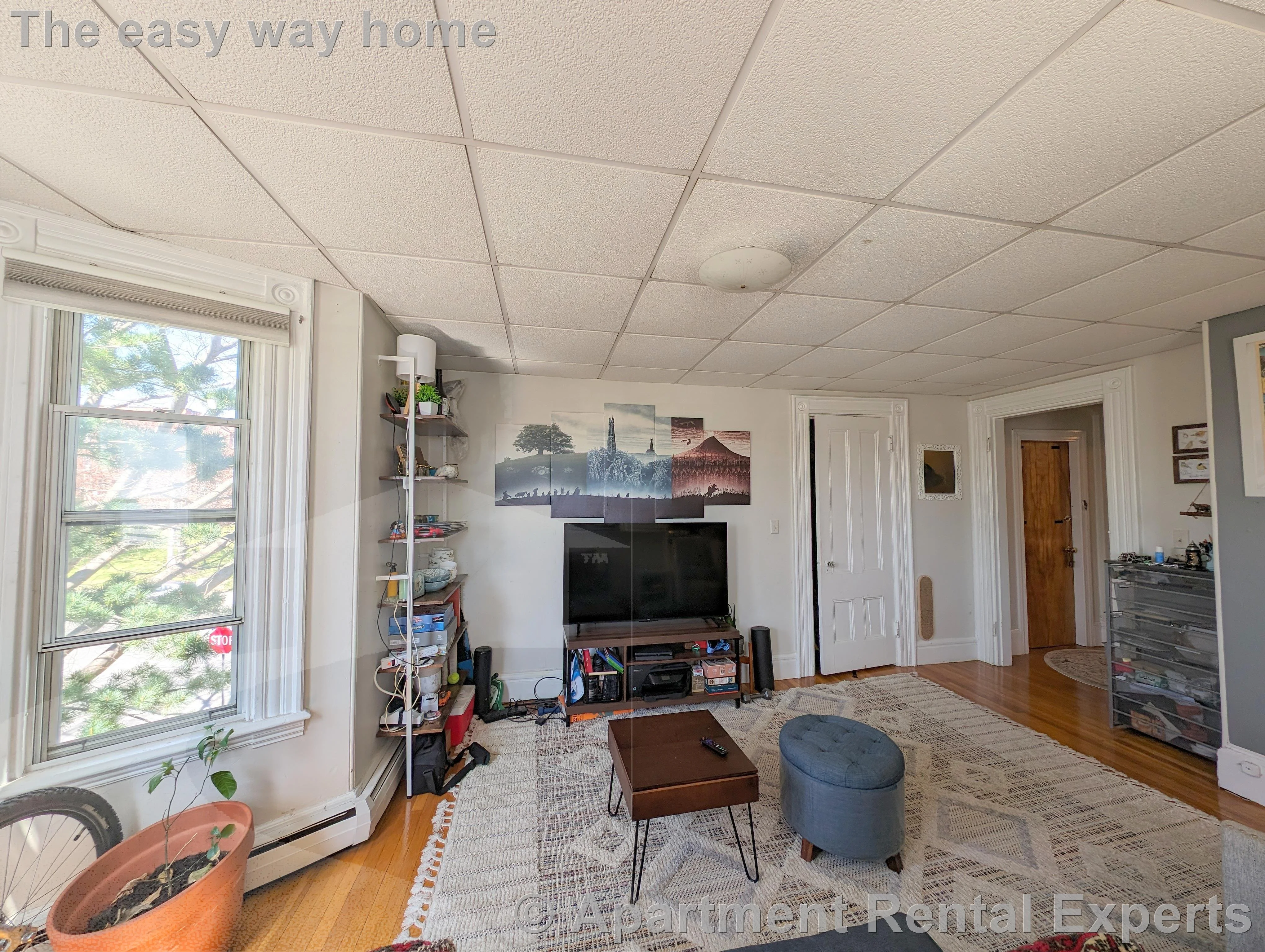 1 bed, 1 bath apartment for rent at 67 Putnam St Unit 5, Prospect Hill — photo 3 of 10