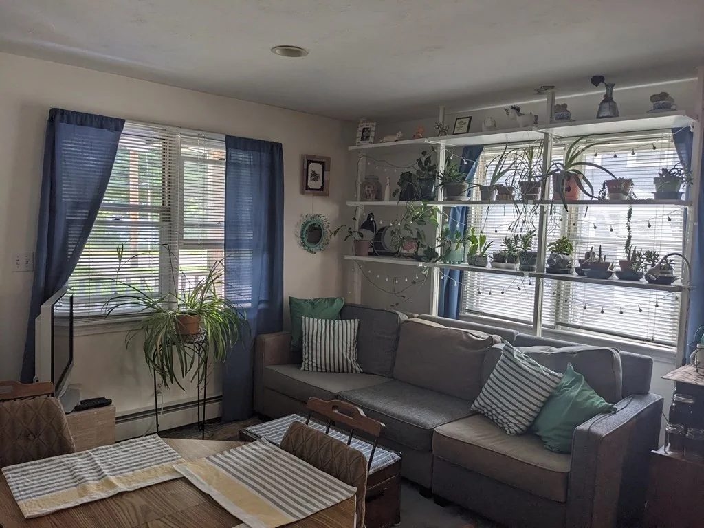 1 bed, 1 bath apartment for rent at 67 South Main Unit 1B, Natick — photo 3 of 6