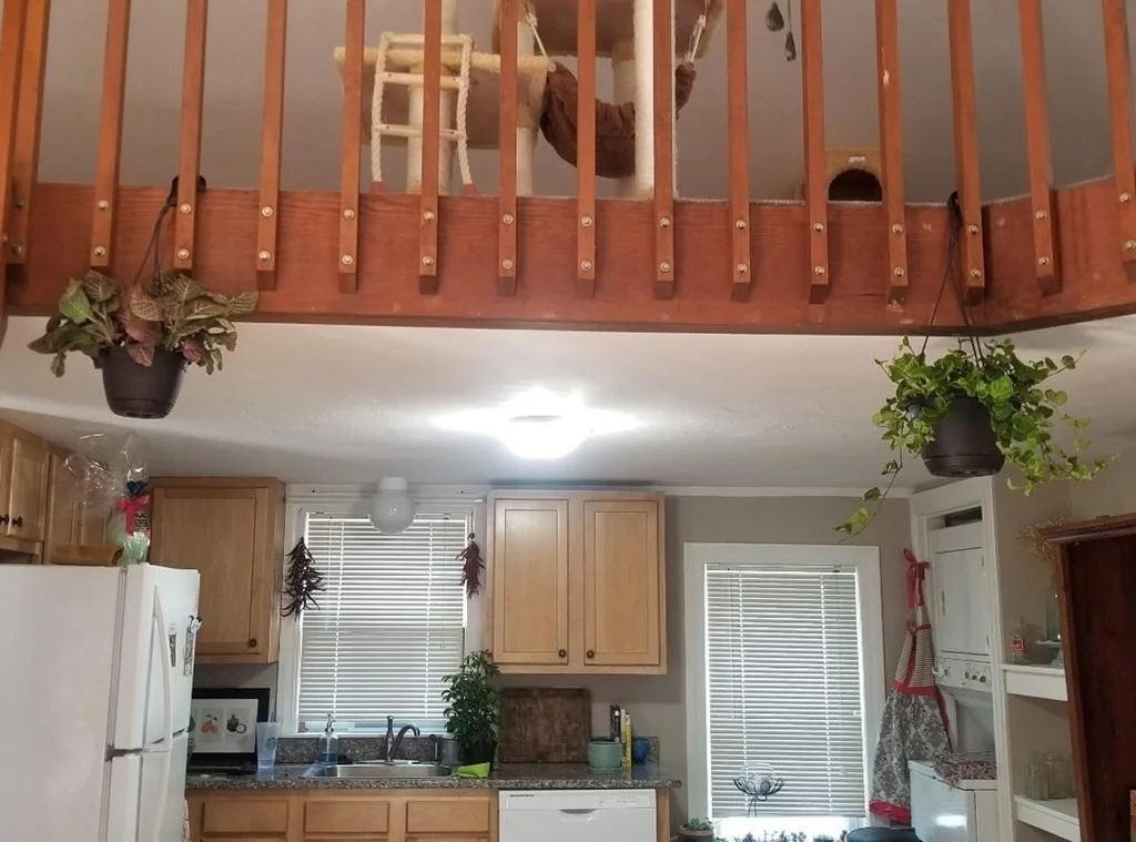 2 bed, 1 bath apartment for rent at 67 South Main Unit 2A, Natick — photo 4 of 11