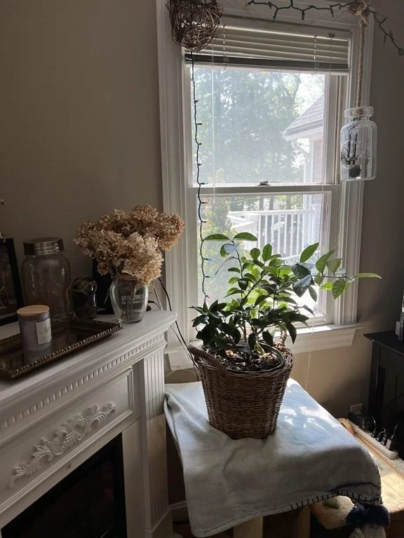 2 bed, 1 bath apartment for rent at 67 South Main Unit 2A, Natick — photo 9 of 11