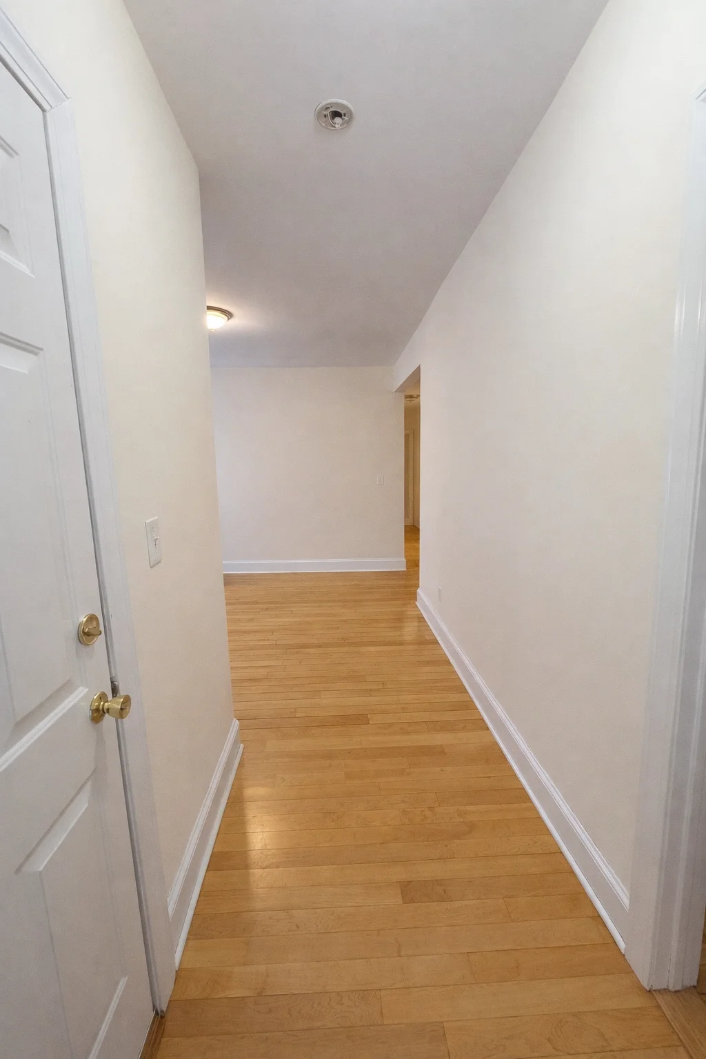 1 bed, 1 bath apartment for rent at 674 Washington St Unit 2, Coolidge Corner — photo 8 of 10