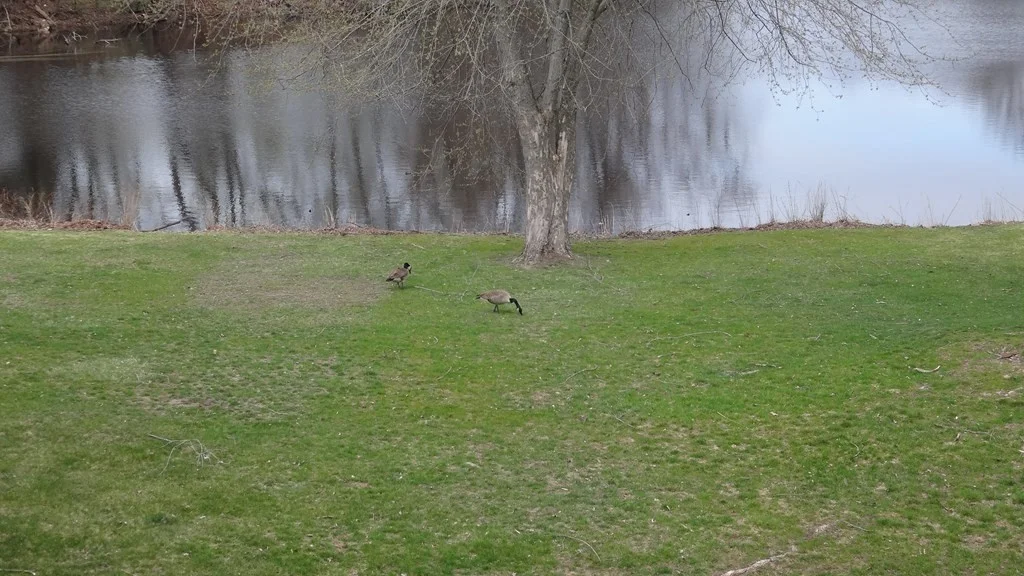 2 bed, 1 bath apartment for rent at 68 E Main St Unit 11, Ayer — photo 10 of 15