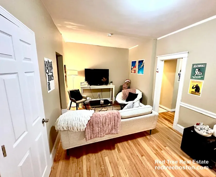 4 bed, 1 bath apartment for rent at 68 Egmont St Unit 1, North Brookline — photo 10 of 18