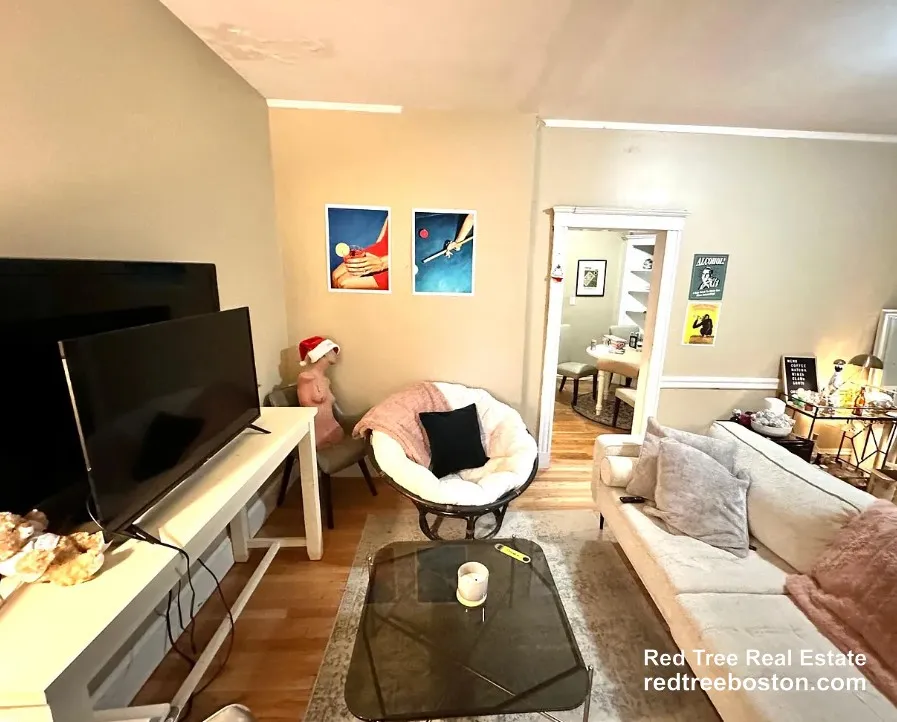 4 bed, 1 bath apartment for rent at 68 Egmont St Unit 1, North Brookline — photo 3 of 18