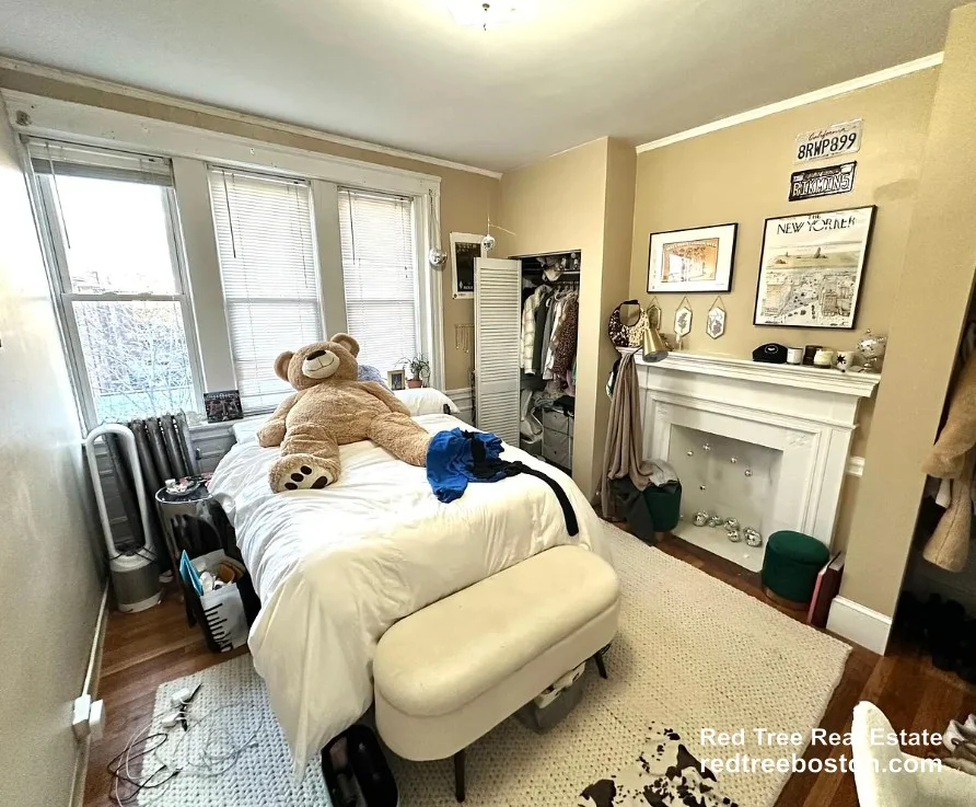 4 bed, 1 bath apartment for rent at 68 Egmont St Unit 1, North Brookline — photo 16 of 18