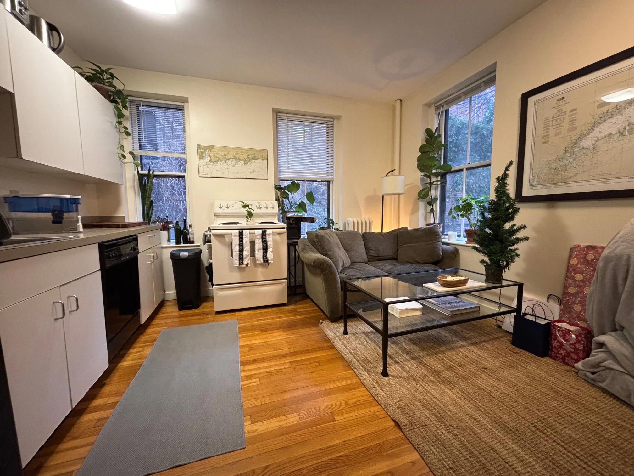 Studio bed, 1 bath apartment for rent at 68 Myrtle St Unit 3, Beacon Hill — photo 4 of 11