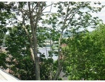 2 bed, 1 bath apartment for rent at 682 Rock St Unit 2 2nd Floor, Fall River — photo 19 of 23
