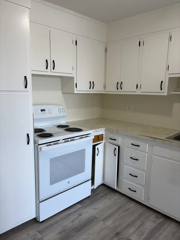 2 bed, 1 bath apartment for rent at 685 Moody St Unit 11, Waltham — photo 3 of 17