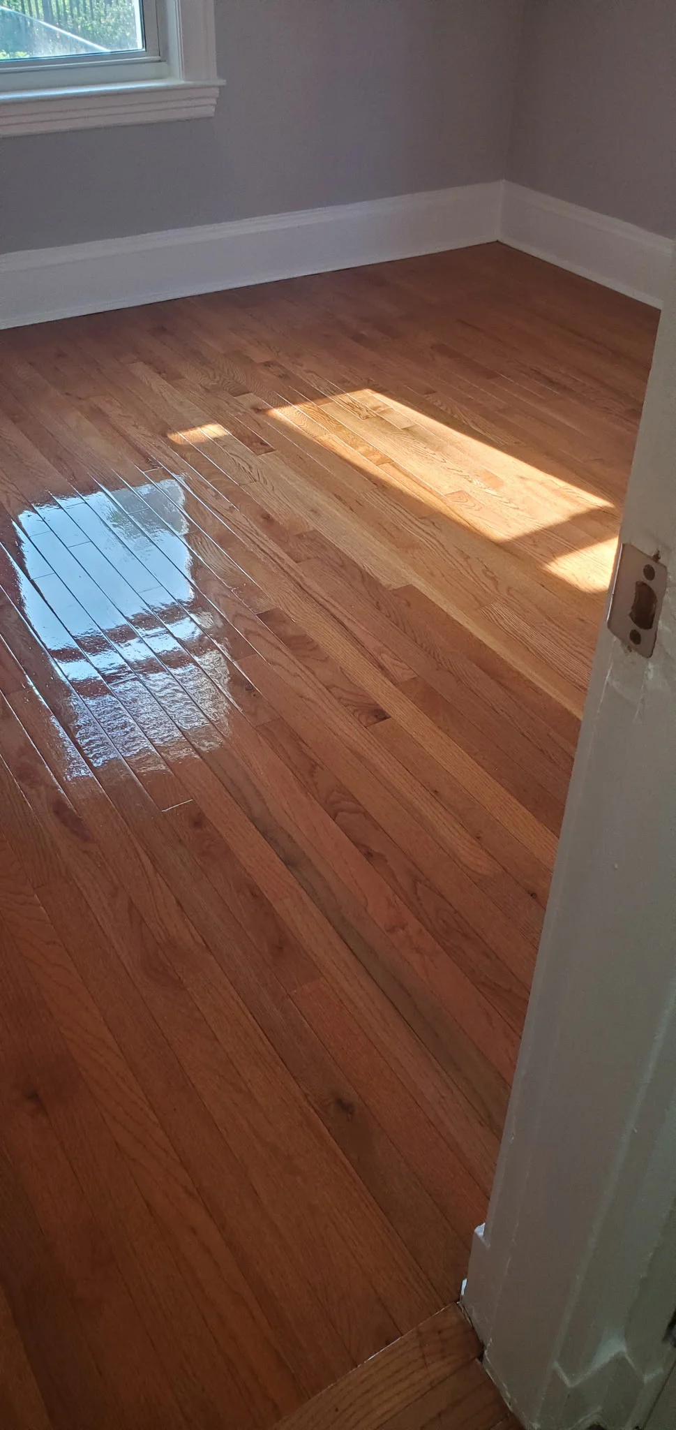 2 bed, 1 bath apartment for rent at 699 Hyde Park Ave Unit 2, Roslindale — photo 2 of 5