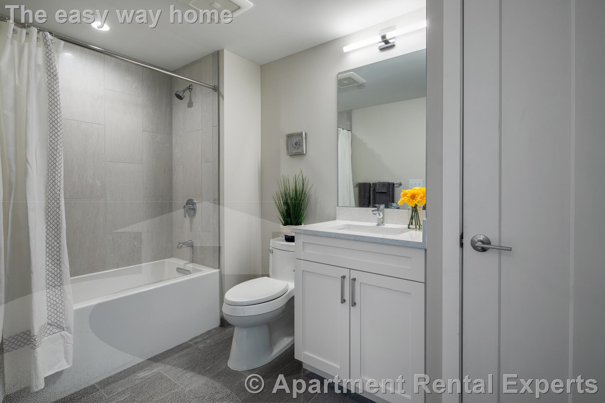 2 bed, 2 bath apartment for rent at 7 Beech St Unit 212, Porter Square — photo 5 of 13